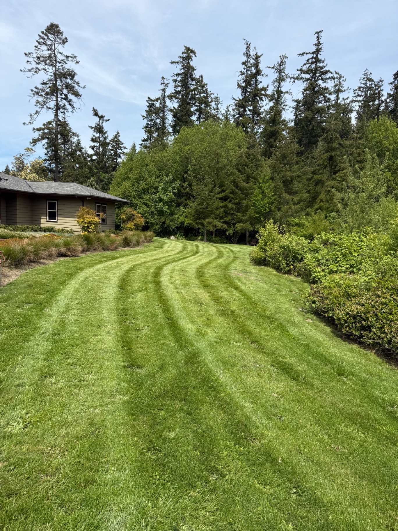 Curved mowing pattern along garden bed