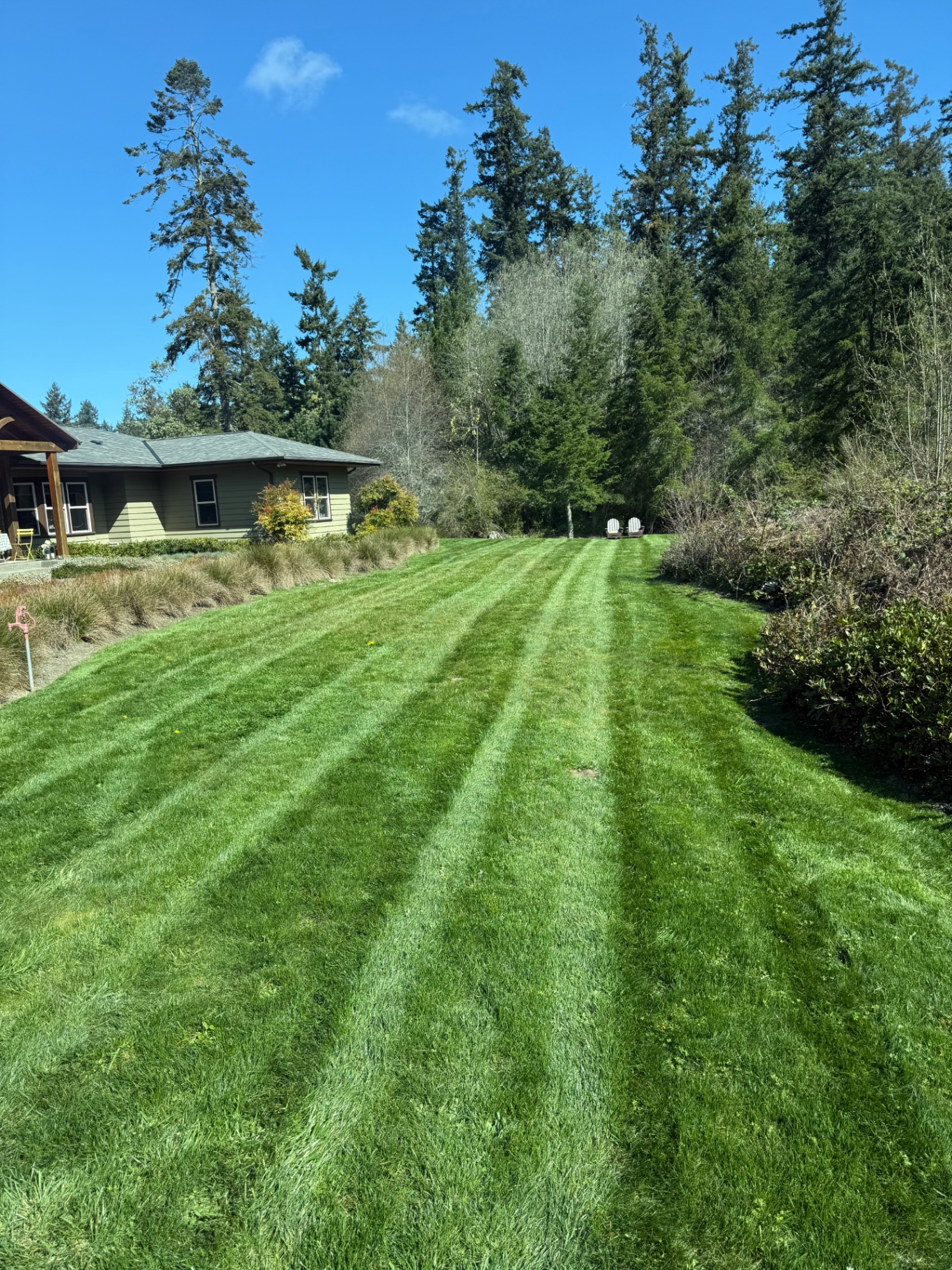 Clean-cut backyard lawn with mowing stripes