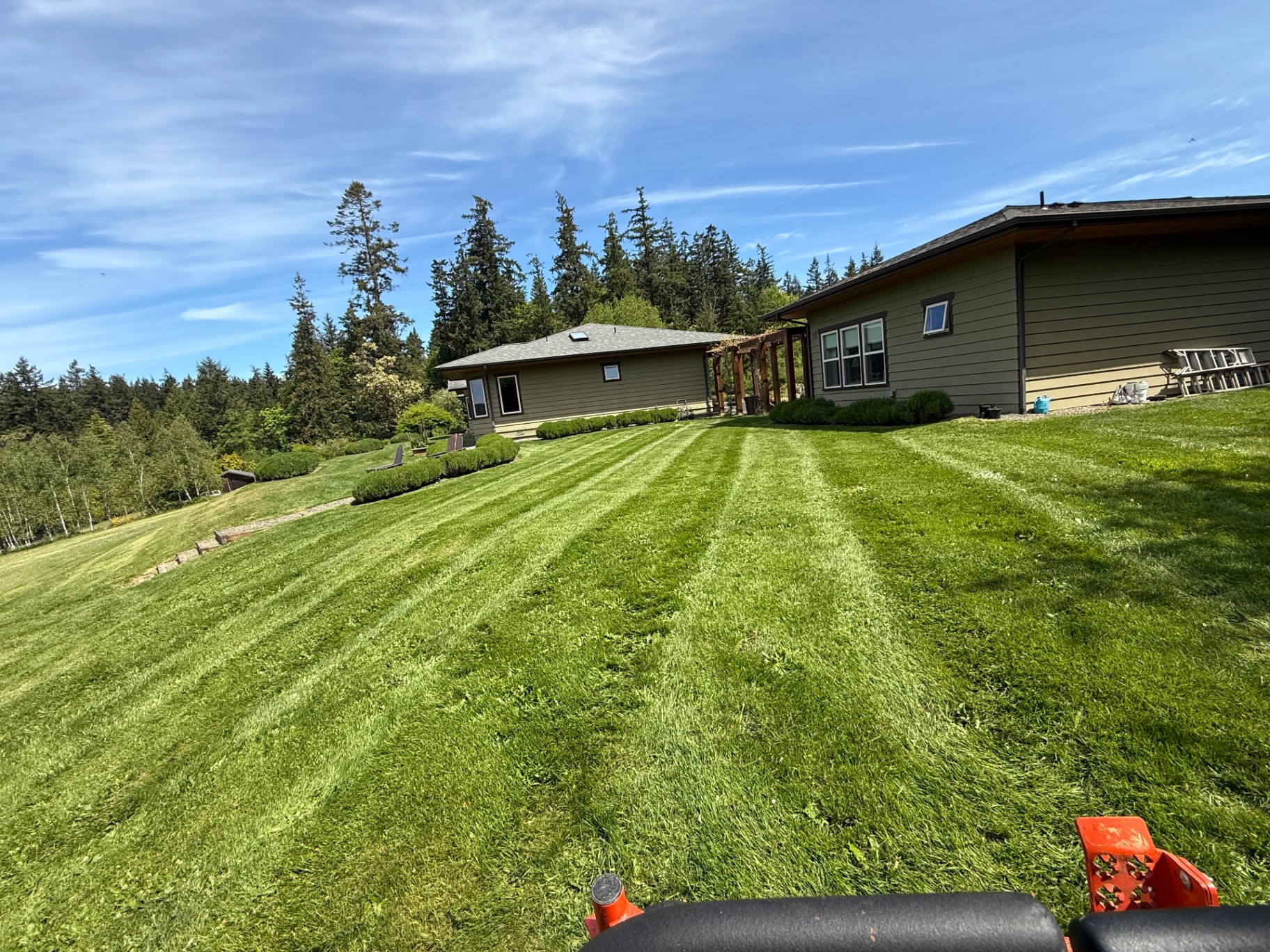 Manicured hillside lawn with defined edging