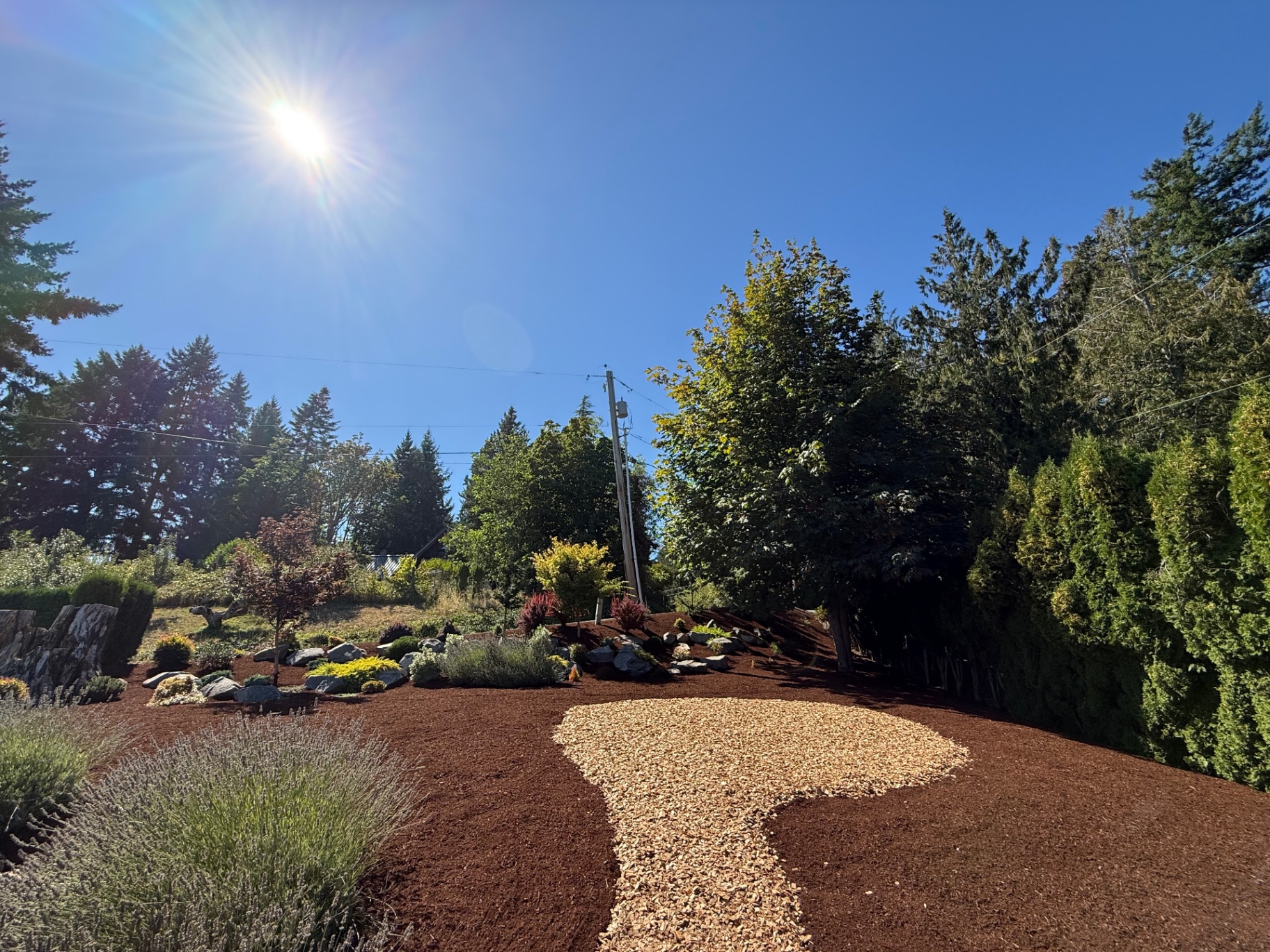 Landscape refresh with fresh mulch and wood-chip pathway
