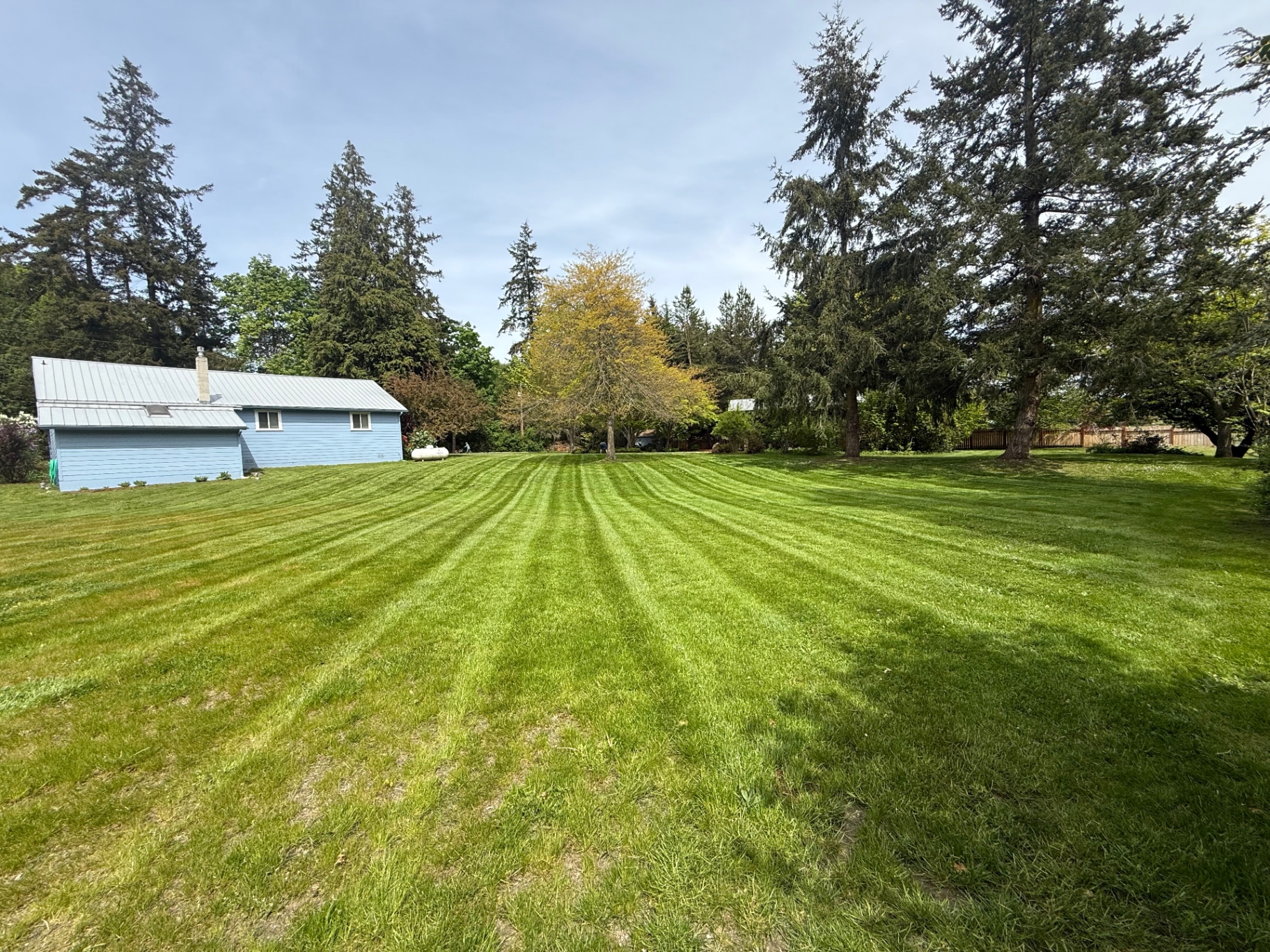 Wide open lawn with professional stripe pattern
