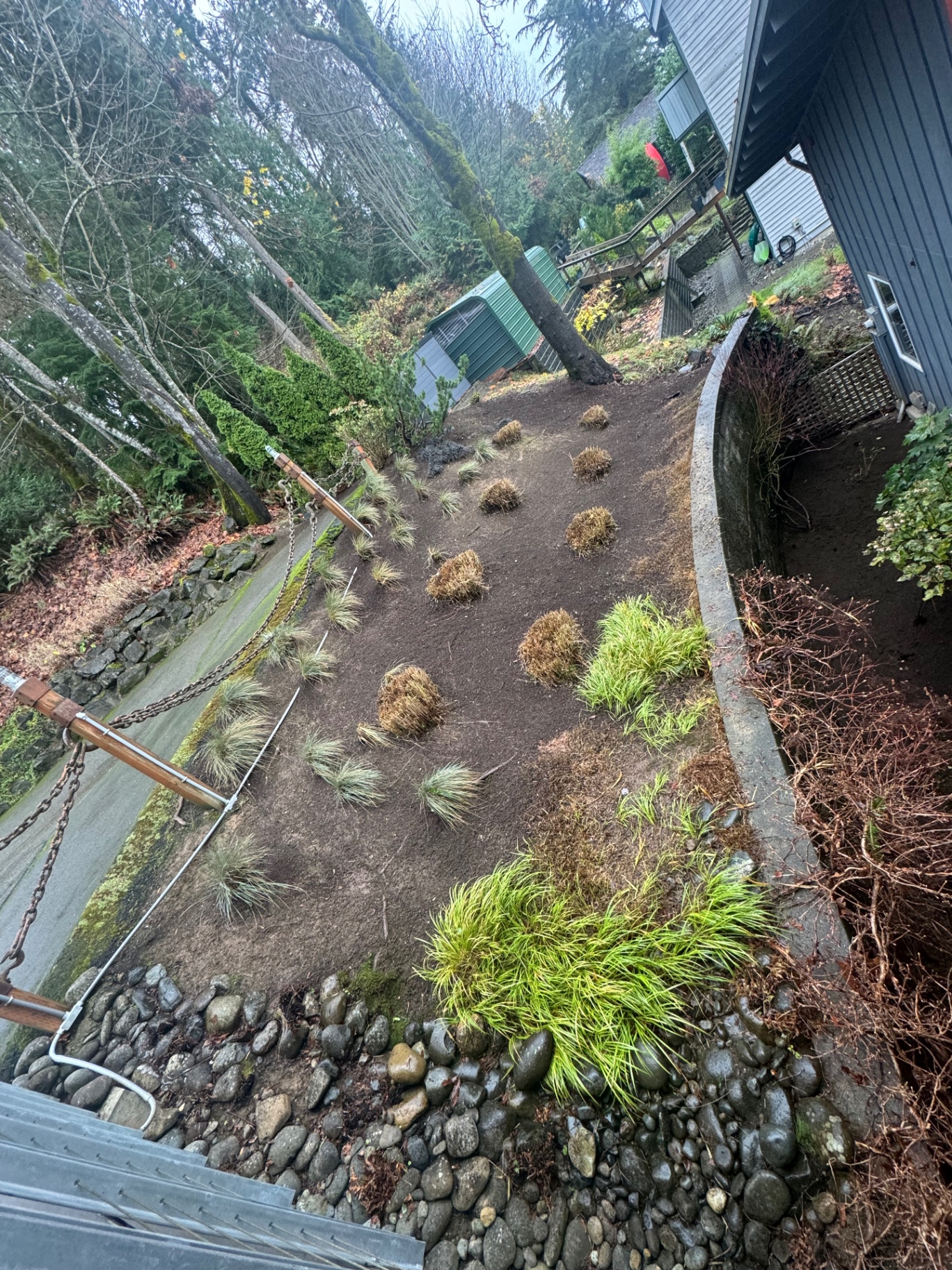 Hillside garden install with ornamental grasses and native plantings